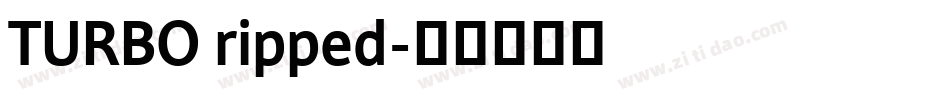TURBO ripped字体转换